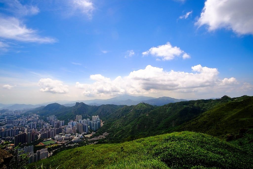 潮濕天氣下的香港山脊與城市樹木，遠景被薄霧柔化